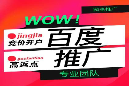 行业经典案例：SEM推广代运营如何助力销售增长